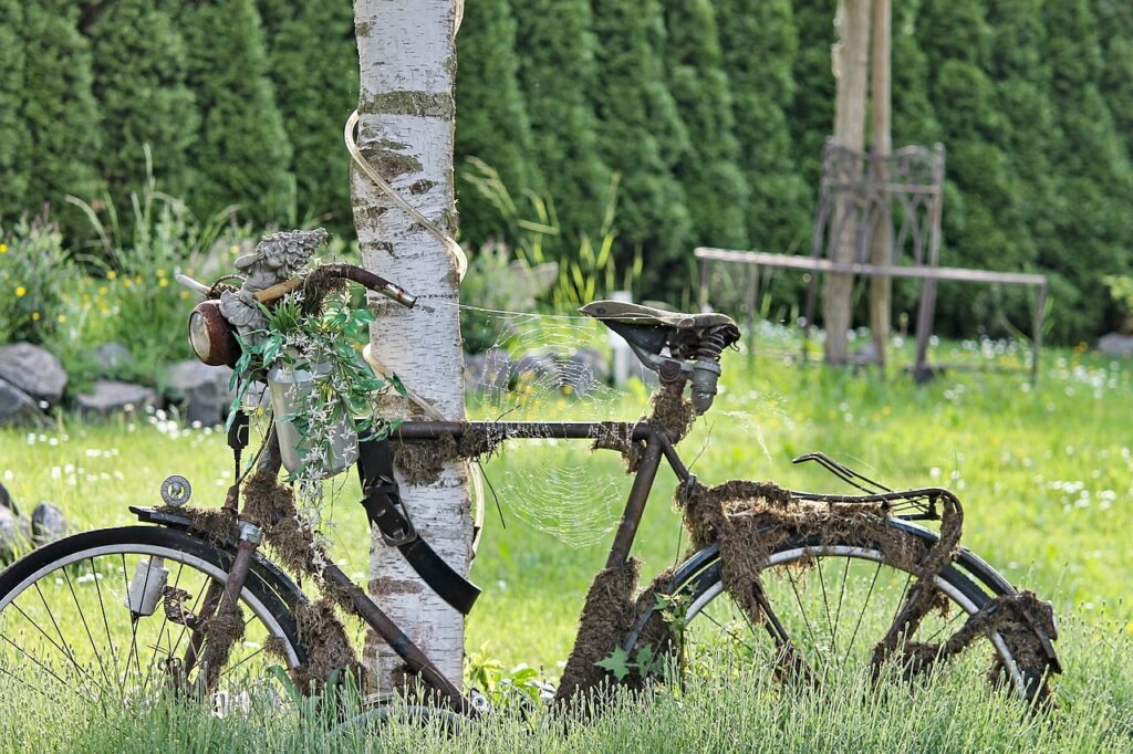bicycle, rusty, overgrown-3406889.jpg